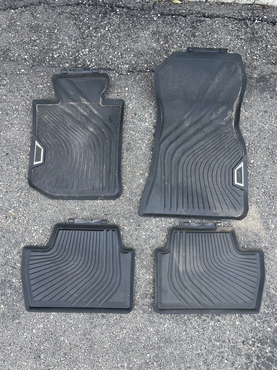 Floor mats before detailing